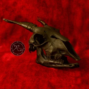 Crânio de Bode “Hircus Nigrum II”